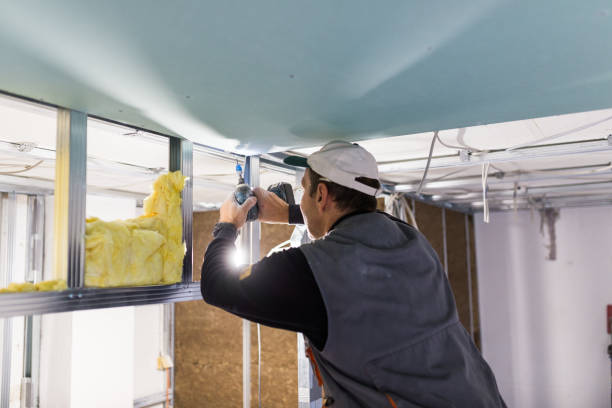 Best Insulation Maintenance and Repair in Parma Heights, OH